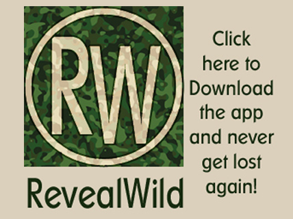 SponsorHoverBox-RevealWild