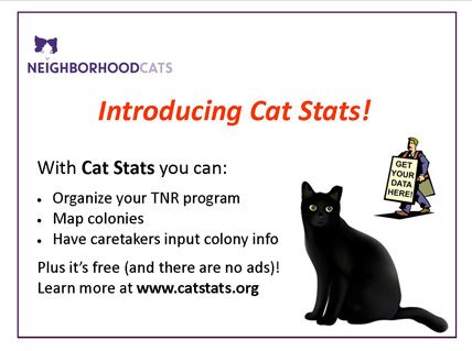 CatStats ad