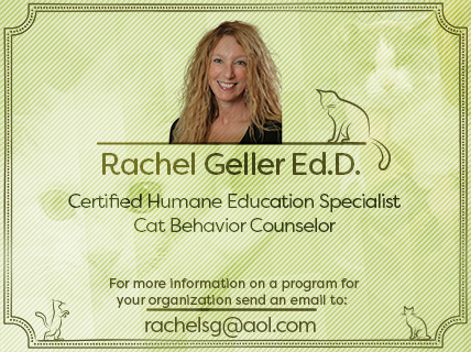 RachelGellerAdforCommunityCats