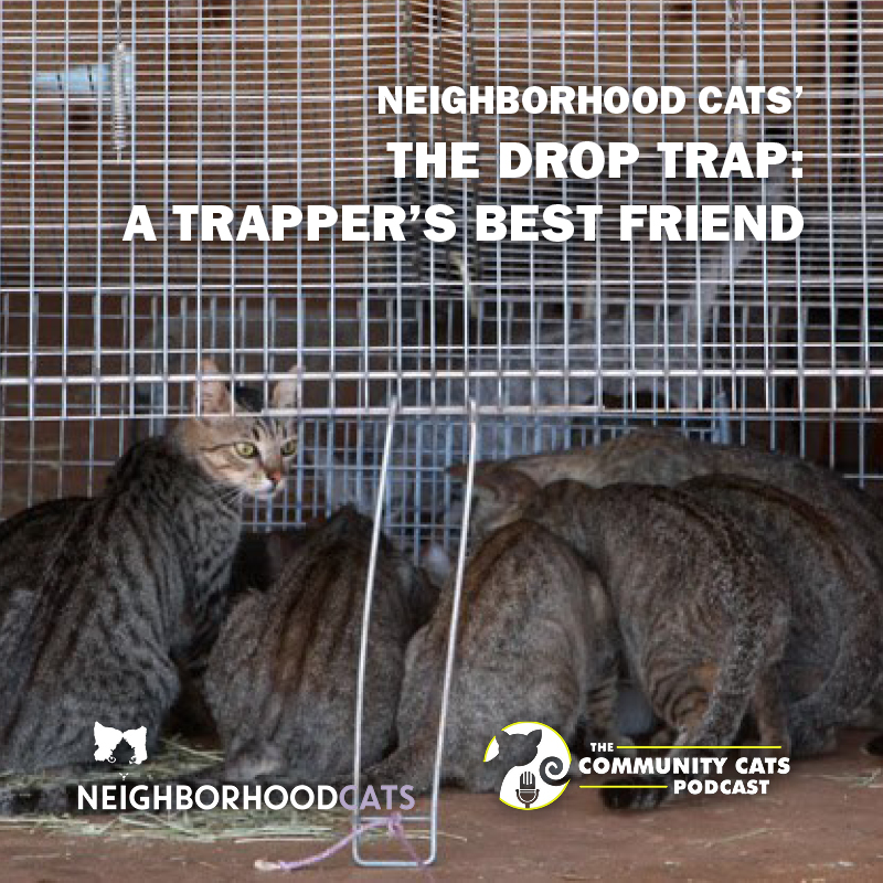 Drop Trap: A Trapper's Best Friend Presented by The Neighborhood Cats - The  Community Cats Podcast