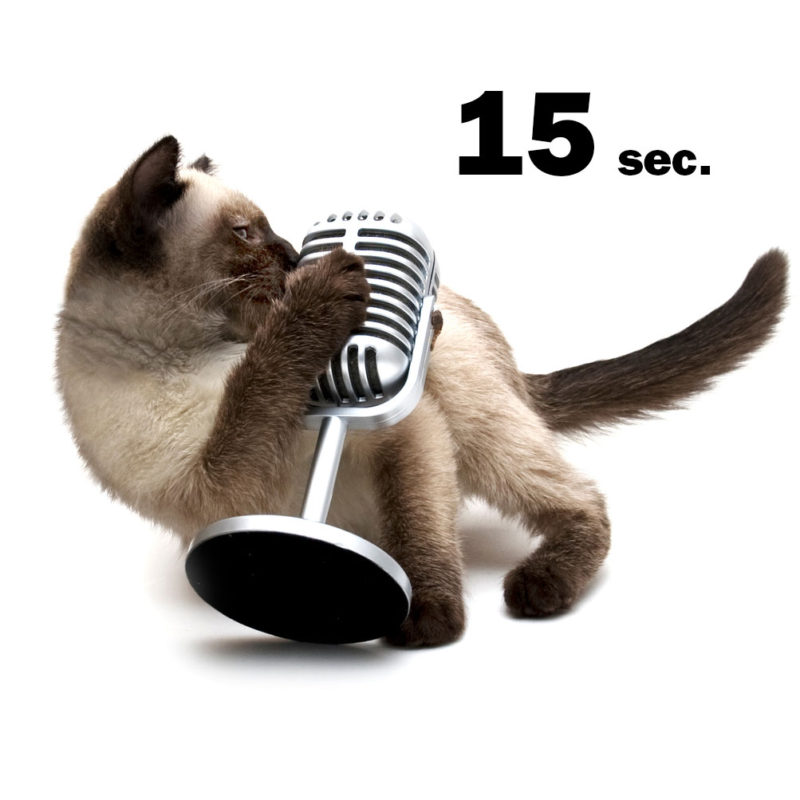 15-second Podcast Advertisement (4)
