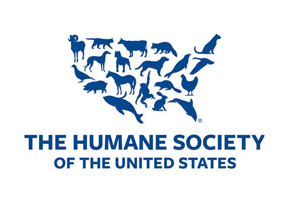 8th Annual Online Cat Conference