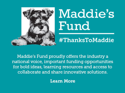 CCP_SponsorAd_Maddies_220122