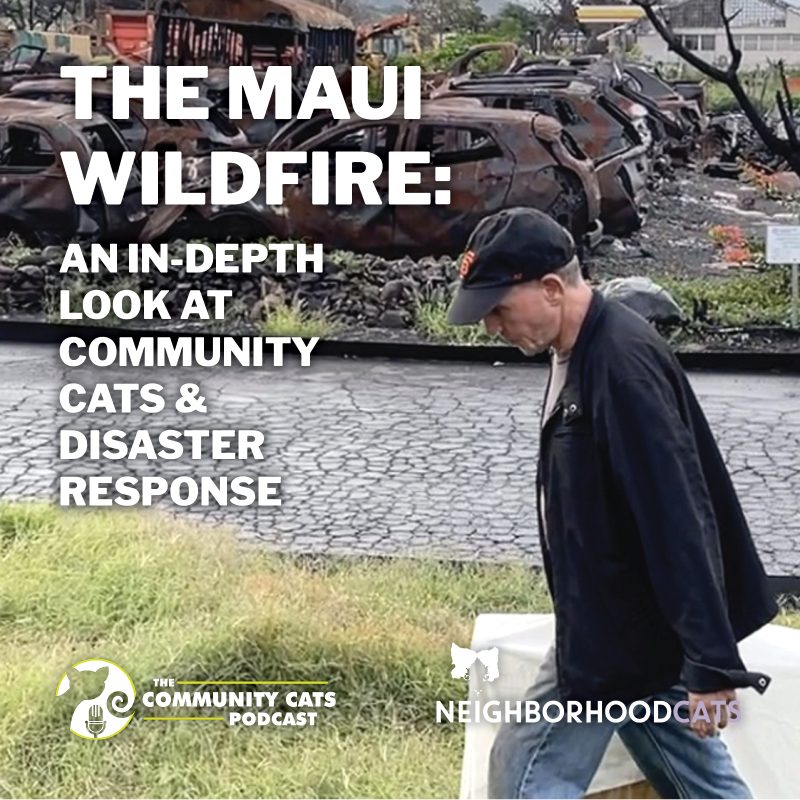 Recordings - The Maui Wildfire: An In-depth Look at Community Cats and Disaster Response