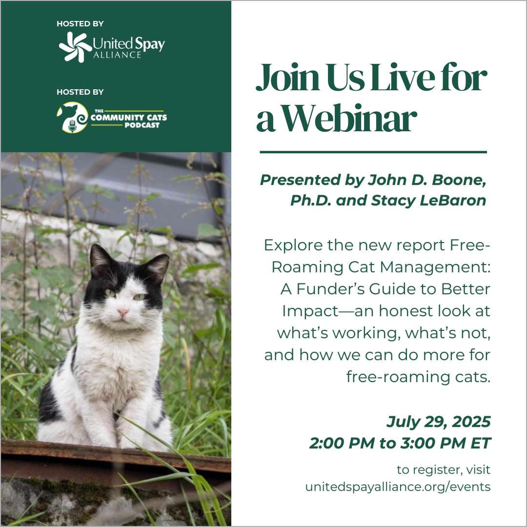 Free Roaming Cat Webinar – 1