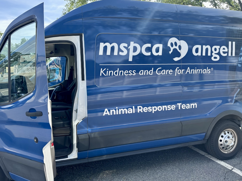 CCP PhotoEssay FarmToTrapAndBack 241127.017