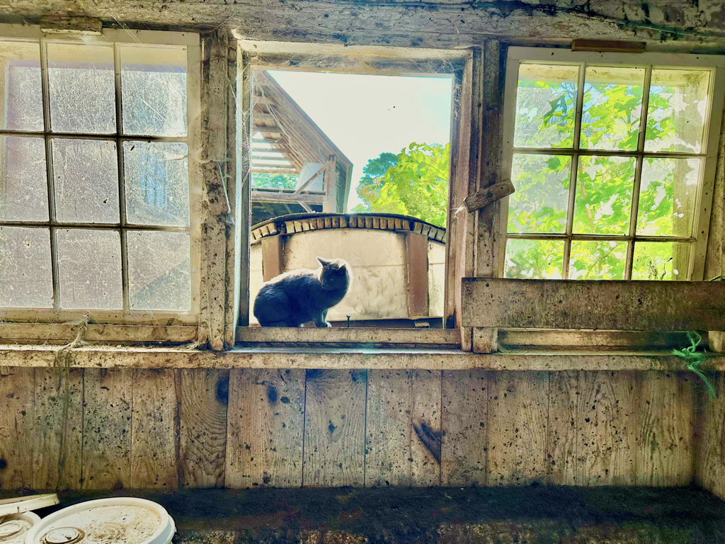 CCP PhotoEssay FarmToTrapAndBack 241127.018