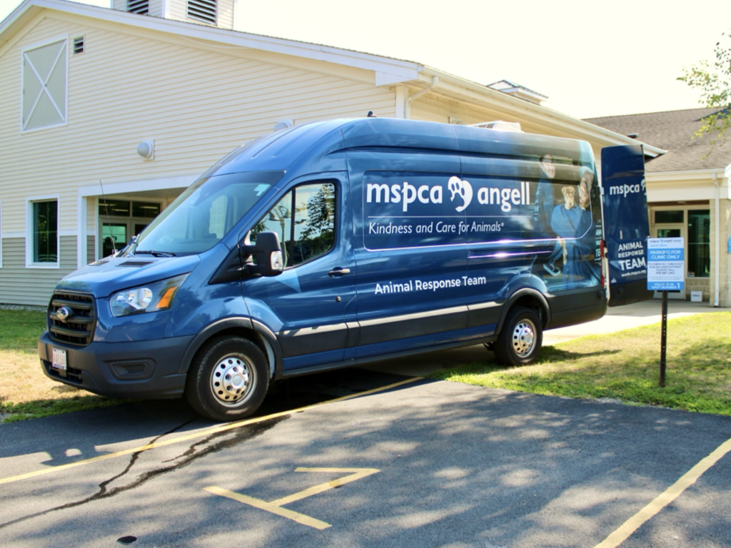 CCP PhotoEssay FarmToTrapAndBack 241127.025