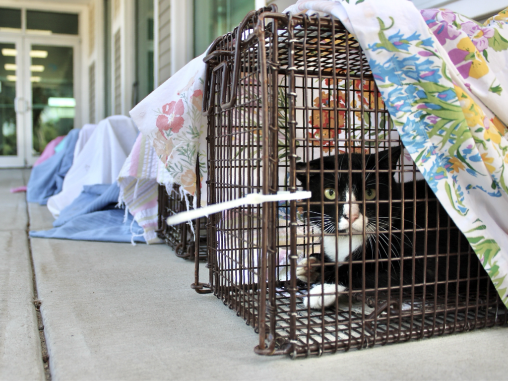 CCP PhotoEssay FarmToTrapAndBack 241127.026