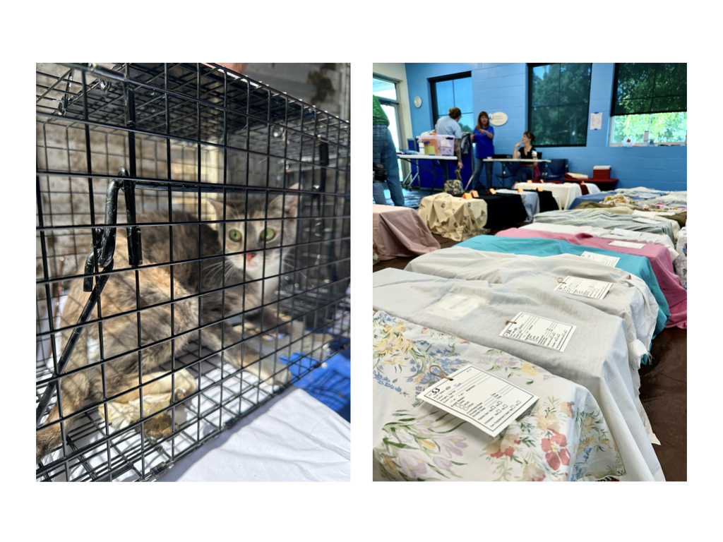 CCP PhotoEssay FarmToTrapAndBack 241127.027