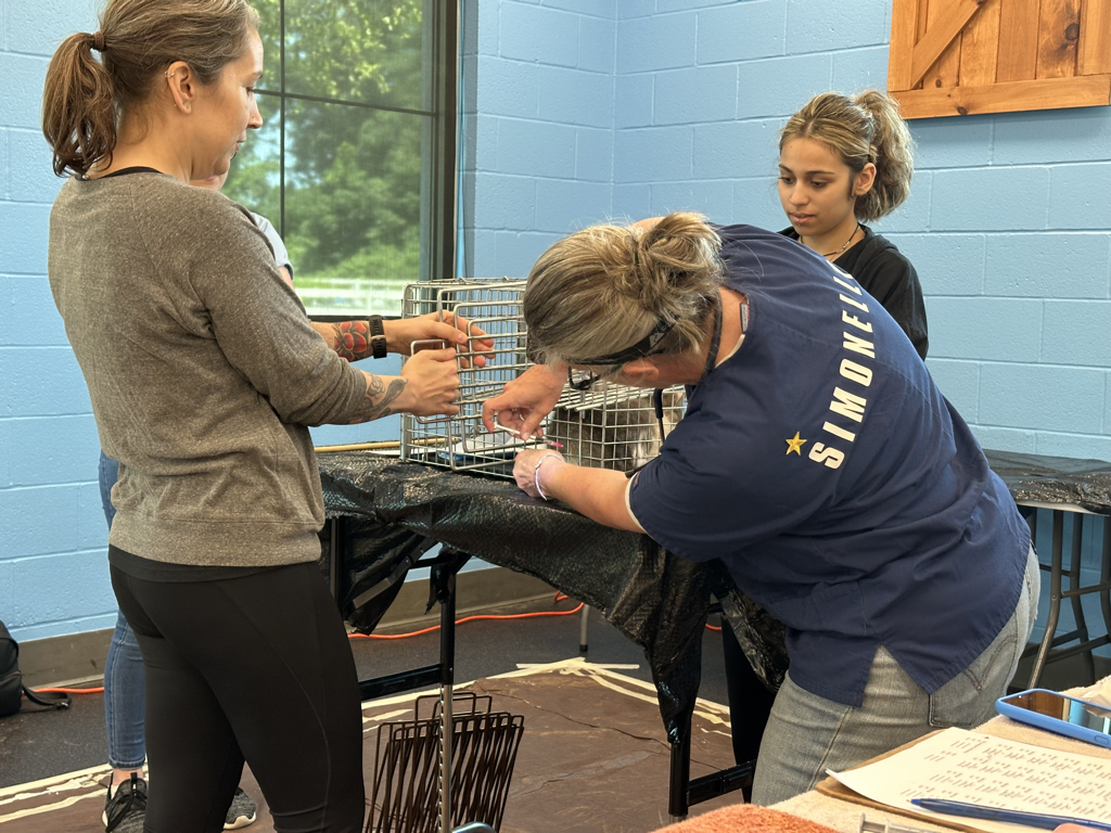 CCP PhotoEssay FarmToTrapAndBack 241127.031