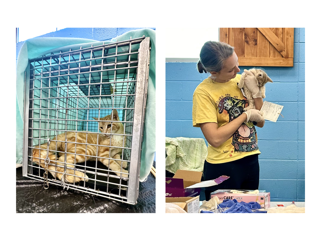 CCP PhotoEssay FarmToTrapAndBack 241127.032