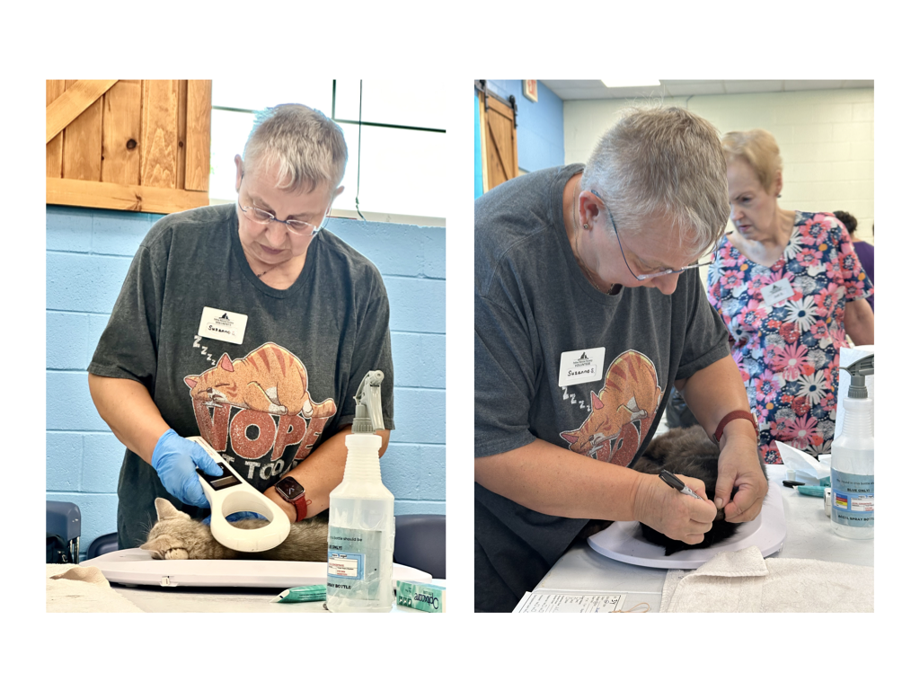 CCP PhotoEssay FarmToTrapAndBack 241127.033