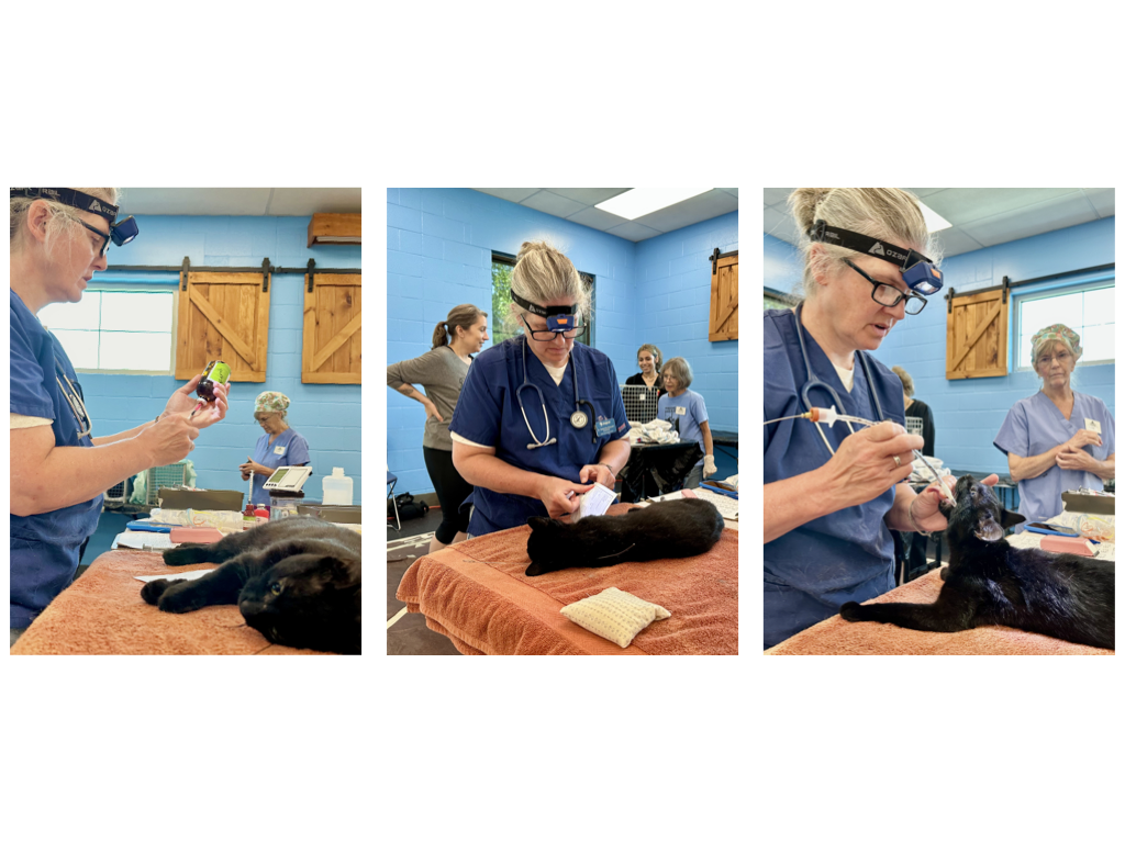 CCP PhotoEssay FarmToTrapAndBack 241127.034