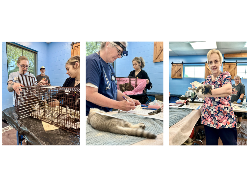 CCP PhotoEssay FarmToTrapAndBack 241127.036