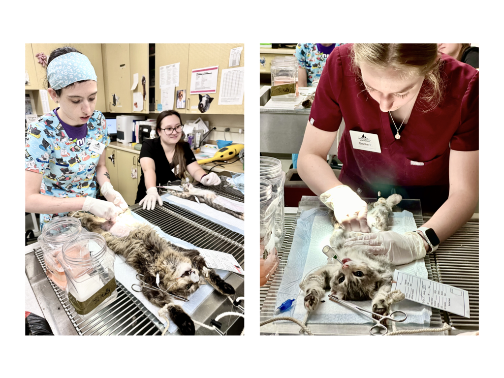 CCP PhotoEssay FarmToTrapAndBack 241127.037