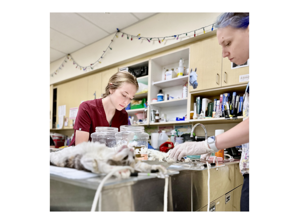 CCP PhotoEssay FarmToTrapAndBack 241127.038