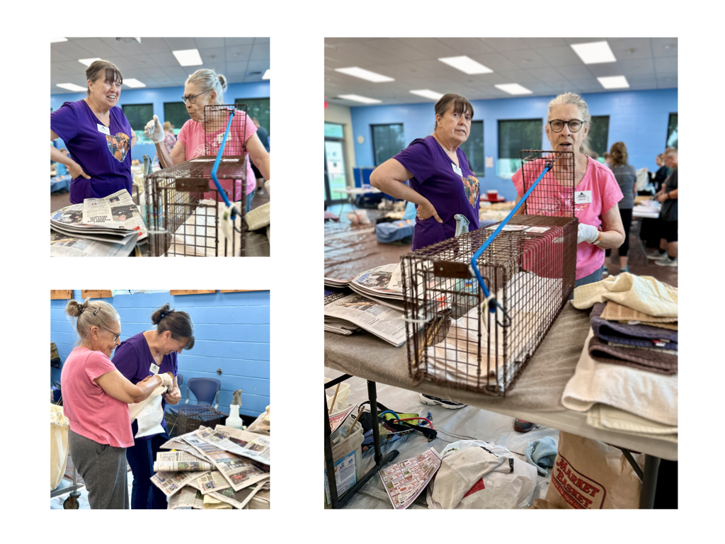 CCP PhotoEssay FarmToTrapAndBack 241127.039