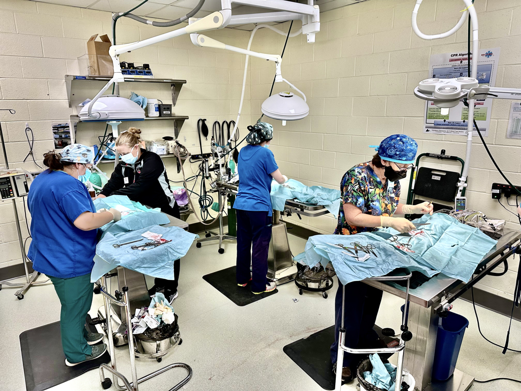 CCP PhotoEssay FarmToTrapAndBack 241127.041