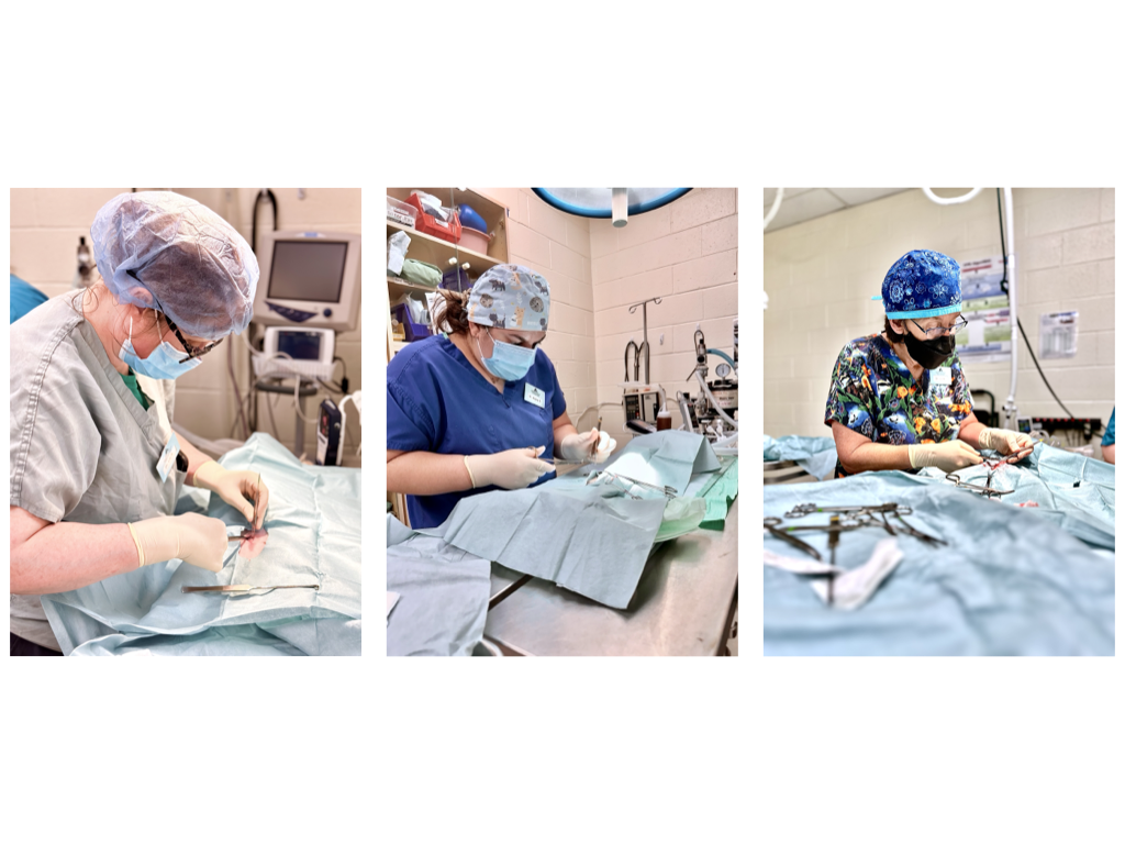 CCP PhotoEssay FarmToTrapAndBack 241127.042