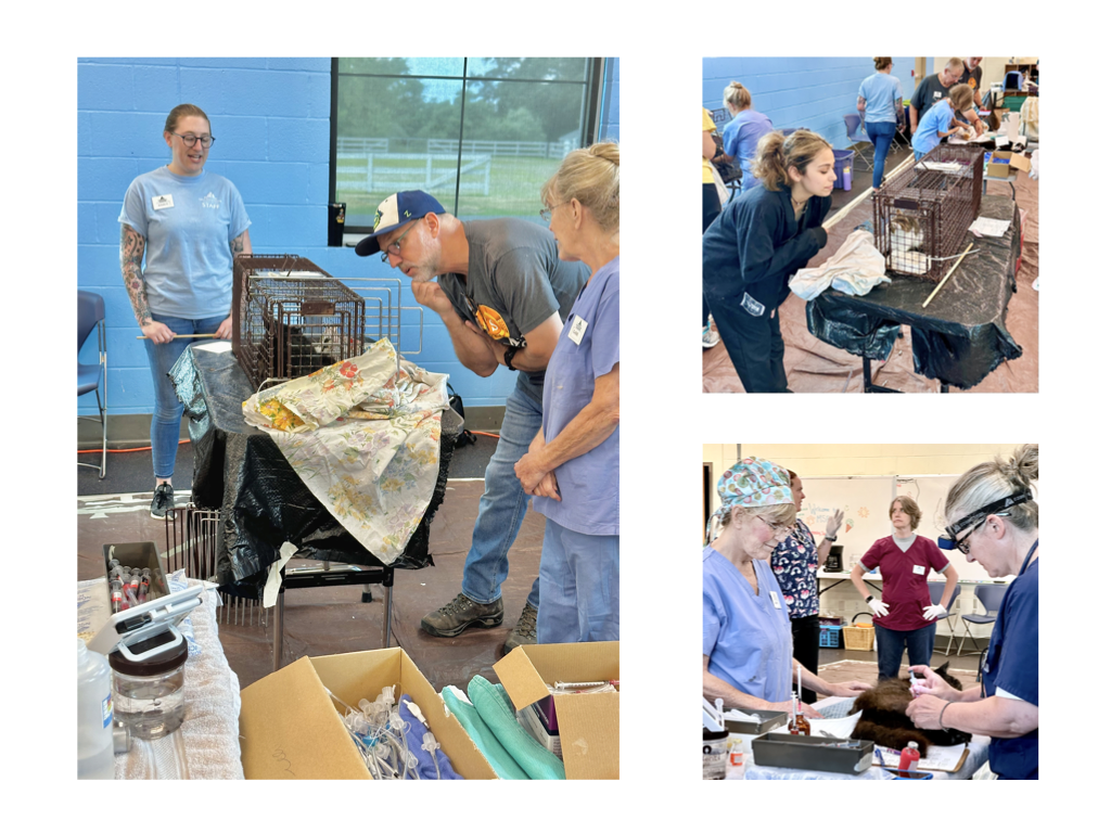 CCP PhotoEssay FarmToTrapAndBack 241127.043