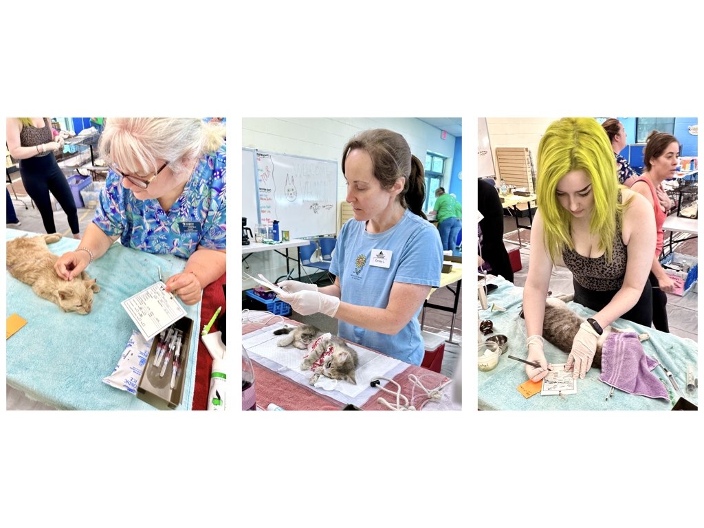 CCP PhotoEssay FarmToTrapAndBack 241127.044