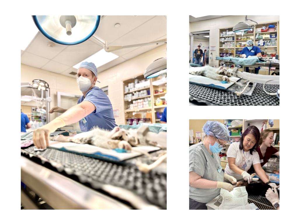 CCP PhotoEssay FarmToTrapAndBack 241127.046