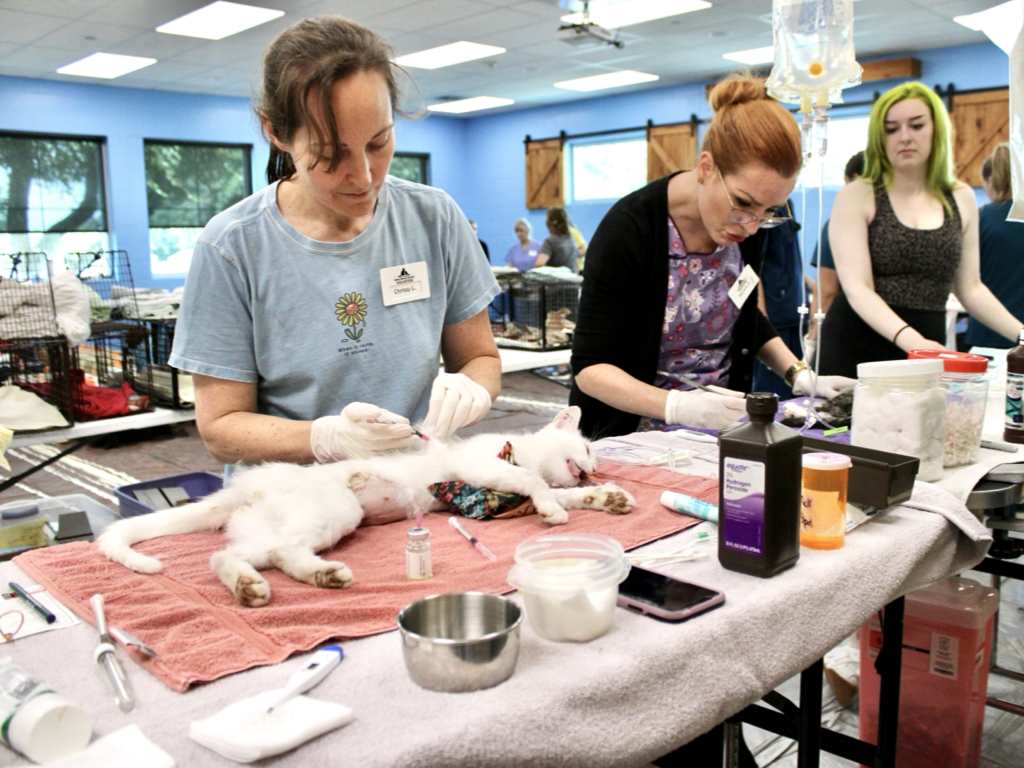 CCP PhotoEssay FarmToTrapAndBack 241127.050