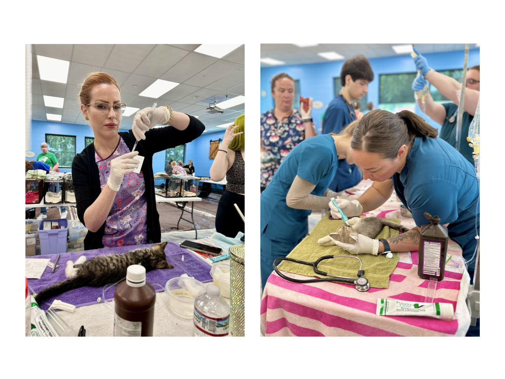 CCP PhotoEssay FarmToTrapAndBack 241127.051