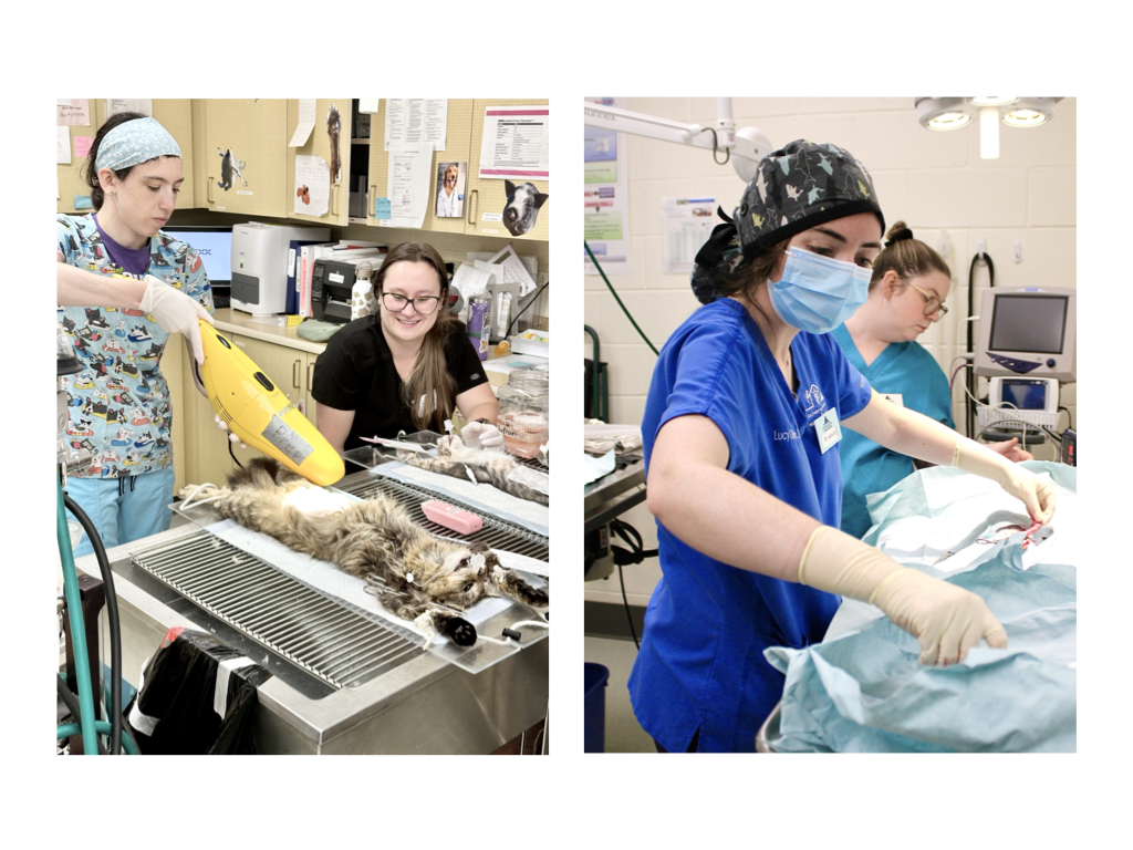 CCP PhotoEssay FarmToTrapAndBack 241127.052