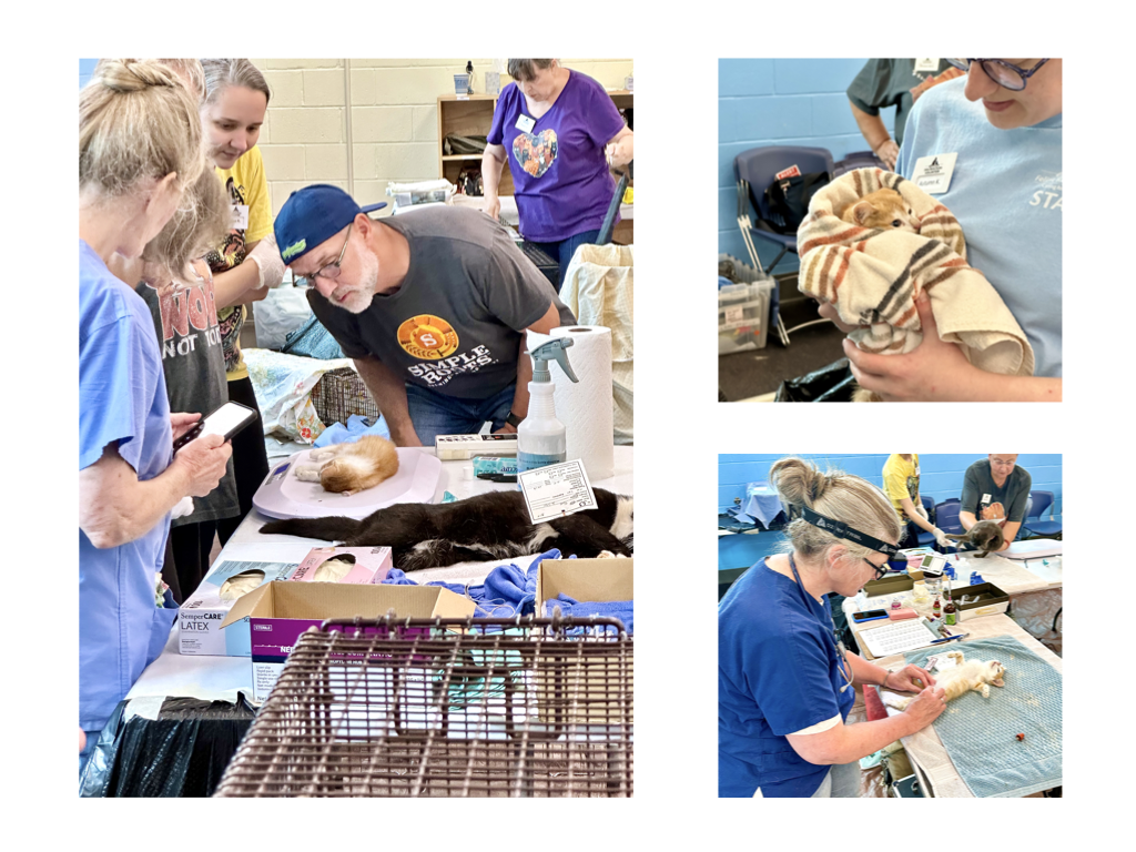 CCP PhotoEssay FarmToTrapAndBack 241127.053